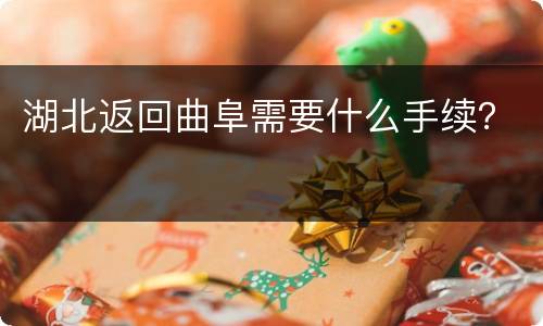 湖北返回曲阜需要什么手续？