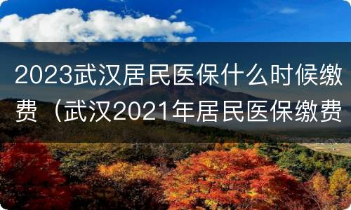 2023武汉居民医保什么时候缴费（武汉2021年居民医保缴费截止时间）