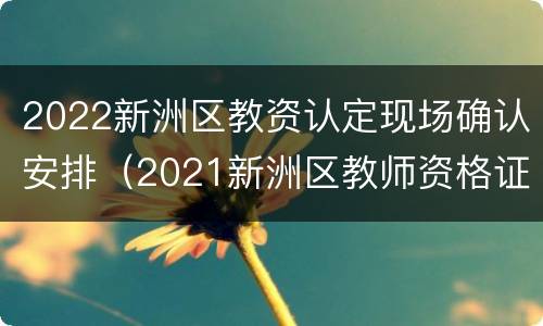 2022新洲区教资认定现场确认安排（2021新洲区教师资格证认定）