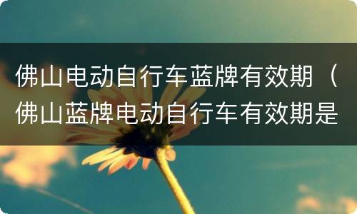 佛山电动自行车蓝牌有效期（佛山蓝牌电动自行车有效期是几年）