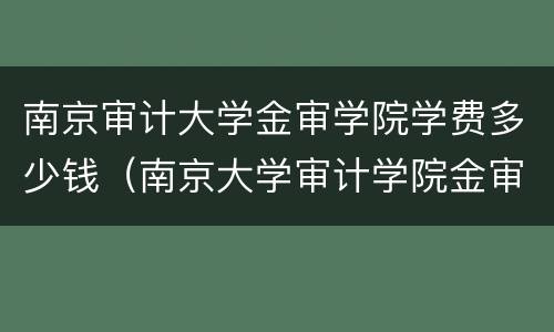 南京审计大学金审学院学费多少钱（南京大学审计学院金审学院学费）
