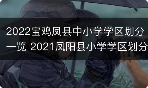 2022宝鸡凤县中小学学区划分一览 2021凤阳县小学学区划分