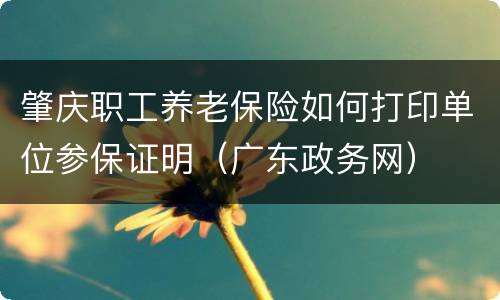 肇庆职工养老保险如何打印单位参保证明（广东政务网）