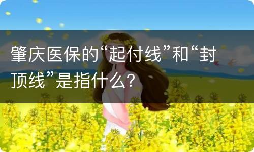 肇庆医保的“起付线”和“封顶线”是指什么？
