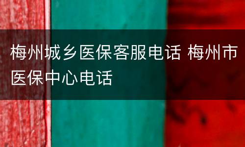 梅州城乡医保客服电话 梅州市医保中心电话