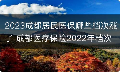 2023成都居民医保哪些档次涨了 成都医疗保险2022年档次