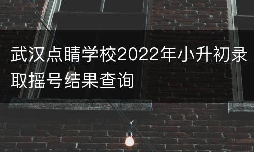 武汉点睛学校2022年小升初录取摇号结果查询