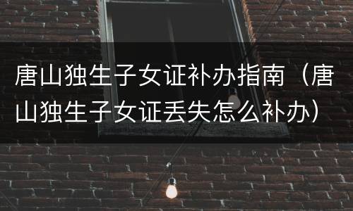 唐山独生子女证补办指南（唐山独生子女证丢失怎么补办）