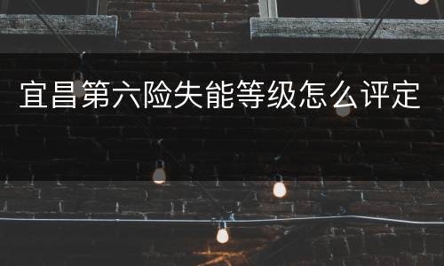 宜昌第六险失能等级怎么评定