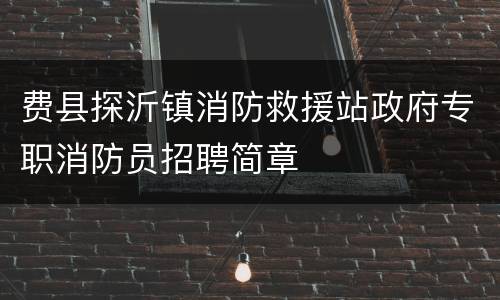 费县探沂镇消防救援站政府专职消防员招聘简章