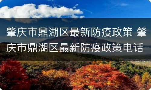 肇庆市鼎湖区最新防疫政策 肇庆市鼎湖区最新防疫政策电话