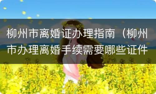 柳州市离婚证办理指南（柳州市办理离婚手续需要哪些证件）