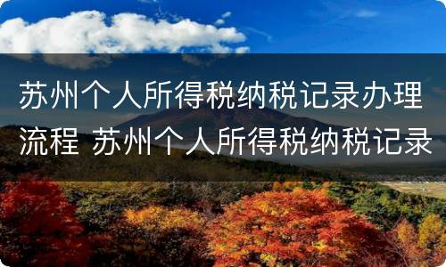 苏州个人所得税纳税记录办理流程 苏州个人所得税纳税记录办理流程图