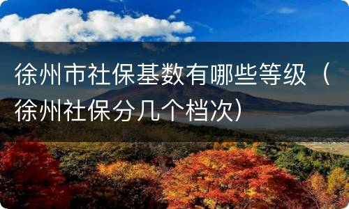 徐州市社保基数有哪些等级（徐州社保分几个档次）