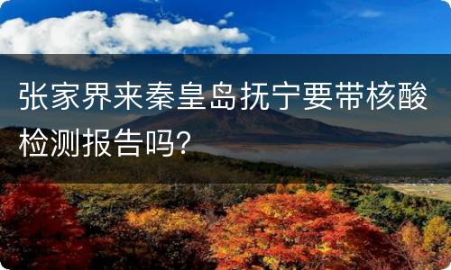 张家界来秦皇岛抚宁要带核酸检测报告吗？