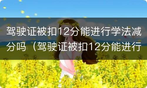 驾驶证被扣12分能进行学法减分吗（驾驶证被扣12分能进行学法减分吗怎么操作）