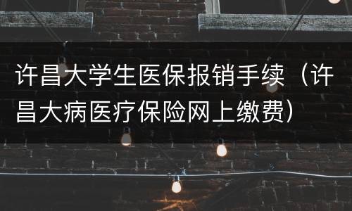 许昌大学生医保报销手续（许昌大病医疗保险网上缴费）