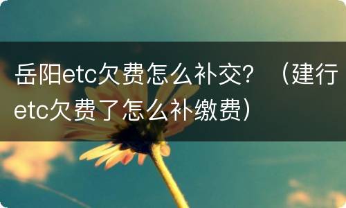 岳阳etc欠费怎么补交？（建行etc欠费了怎么补缴费）