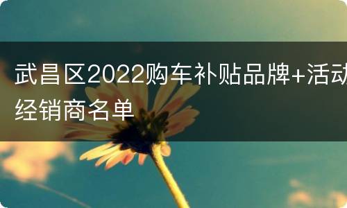 武昌区2022购车补贴品牌+活动经销商名单