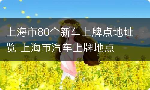 上海市80个新车上牌点地址一览 上海市汽车上牌地点