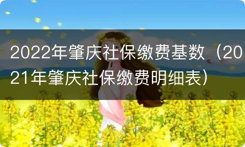 2022年肇庆社保缴费基数（2021年肇庆社保缴费明细表）
