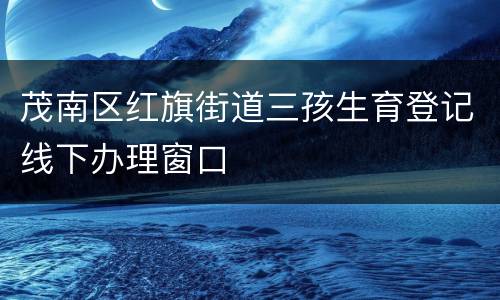 茂南区红旗街道三孩生育登记线下办理窗口