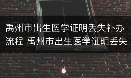 禹州市出生医学证明丢失补办流程 禹州市出生医学证明丢失补办流程图