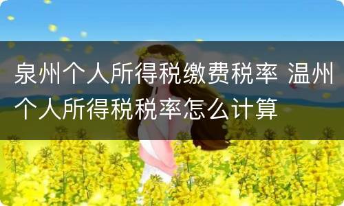 泉州个人所得税缴费税率 温州个人所得税税率怎么计算