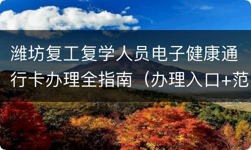 潍坊复工复学人员电子健康通行卡办理全指南（办理入口+范围+条件+流程）