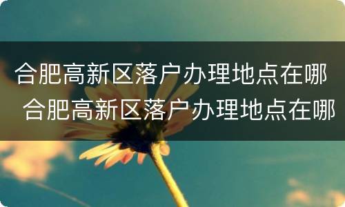合肥高新区落户办理地点在哪 合肥高新区落户办理地点在哪儿