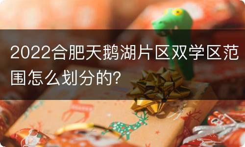 2022合肥天鹅湖片区双学区范围怎么划分的？