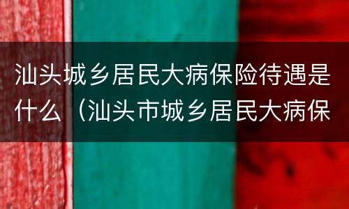 汕头城乡居民大病保险待遇是什么（汕头市城乡居民大病保险实施细则）