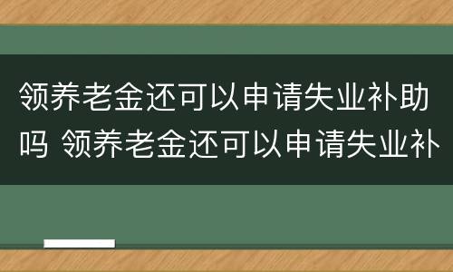 领养老金还可以申请失业补助吗 领养老金还可以申请失业补助吗现在
