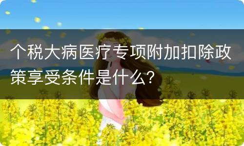 个税大病医疗专项附加扣除政策享受条件是什么？