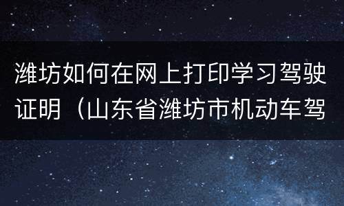 潍坊如何在网上打印学习驾驶证明（山东省潍坊市机动车驾驶证考试网址）