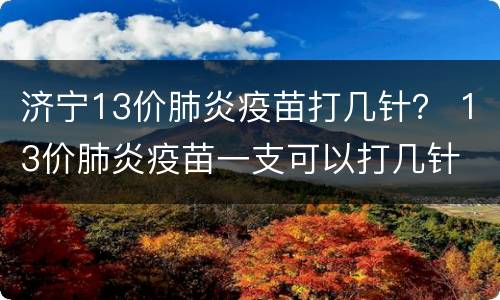 济宁13价肺炎疫苗打几针？ 13价肺炎疫苗一支可以打几针