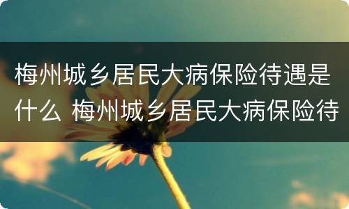 梅州城乡居民大病保险待遇是什么 梅州城乡居民大病保险待遇是什么样的