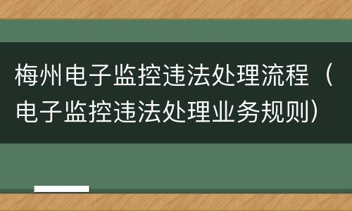梅州电子监控违法处理流程（电子监控违法处理业务规则）