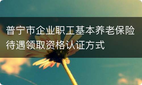 普宁市企业职工基本养老保险待遇领取资格认证方式