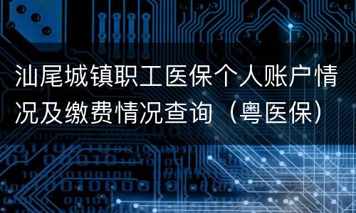 汕尾城镇职工医保个人账户情况及缴费情况查询（粤医保）