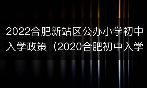2022合肥新站区公办小学初中入学政策（2020合肥初中入学政策）