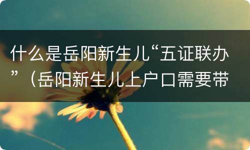 什么是岳阳新生儿“五证联办”（岳阳新生儿上户口需要带什么资料）