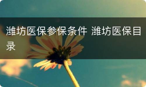 潍坊医保参保条件 潍坊医保目录