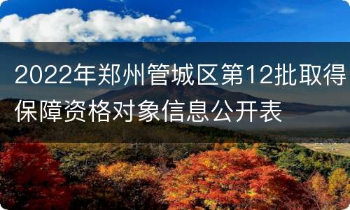 2022年郑州管城区第12批取得保障资格对象信息公开表
