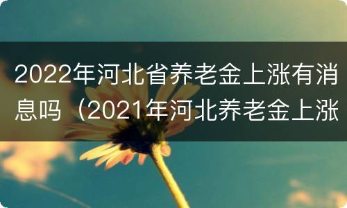 2022年河北省养老金上涨有消息吗（2021年河北养老金上涨）