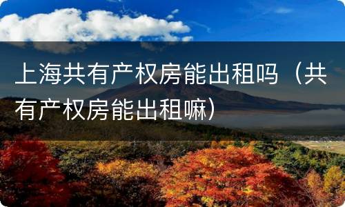 上海共有产权房能出租吗（共有产权房能出租嘛）