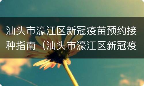 汕头市濠江区新冠疫苗预约接种指南（汕头市濠江区新冠疫苗预约接种指南在哪里）