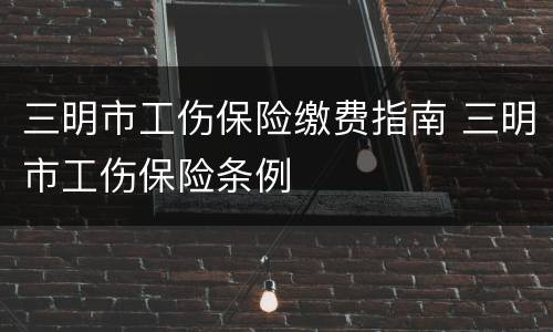 三明市工伤保险缴费指南 三明市工伤保险条例