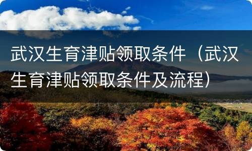 武汉生育津贴领取条件（武汉生育津贴领取条件及流程）
