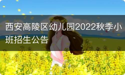 西安高陵区幼儿园2022秋季小班招生公告